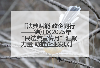 法典赋能·政企同行——锦江区2025年“民法典宣传月”汇聚力量 助推企业发展