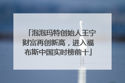 泡泡玛特创始人王宁财富再创新高，进入福布斯中国实时榜前十