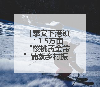泰安下港镇：1.5万亩“樱桃黄金带”铺就乡村振兴路
