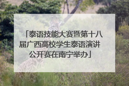 泰语技能大赛暨第十八届广西高校学生泰语演讲公开赛在南宁举办