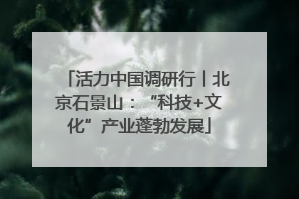 活力中国调研行丨北京石景山：“科技+文化”产业蓬勃发展