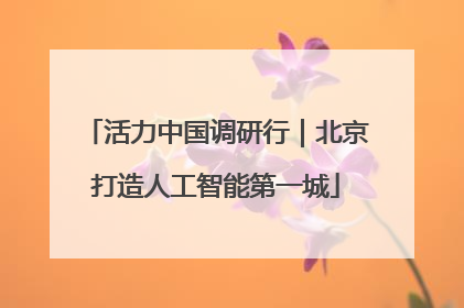 活力中国调研行｜北京打造人工智能第一城