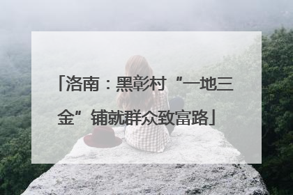 洛南：黑彰村“一地三金”铺就群众致富路