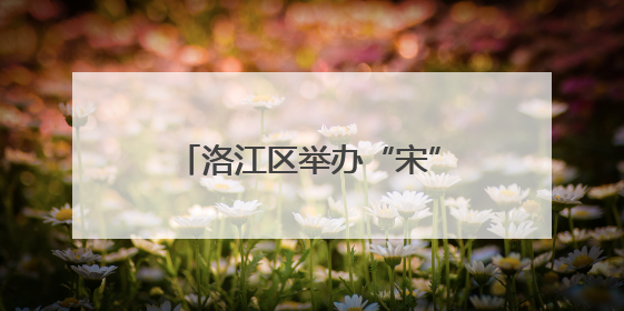 洛江区举办“宋”潮奇遇·“粽”情古街——端午节暨六一儿童节文化活动