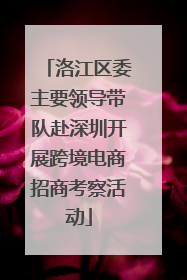 洛江区委主要领导带队赴深圳开展跨境电商招商考察活动