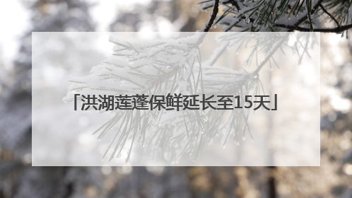 洪湖莲蓬保鲜延长至15天