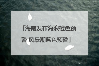 海南发布海浪橙色预警 风暴潮蓝色预警