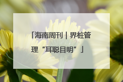 海南周刊｜界桩管理“耳聪目明”