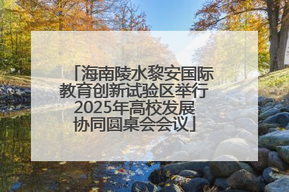 海南陵水黎安国际教育创新试验区举行2025年高校发展协同圆桌会会议