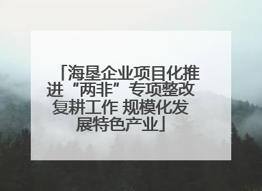 海垦企业项目化推进“两非”专项整改复耕工作 规模化发展特色产业