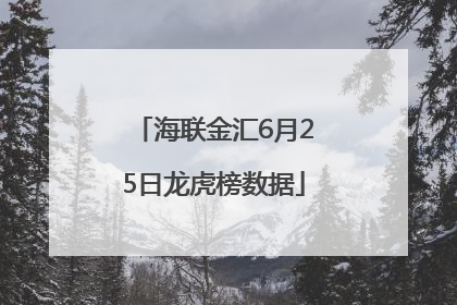 海联金汇6月25日龙虎榜数据