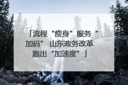 流程“瘦身”服务“加码” 山东政务改革跑出“加速度”