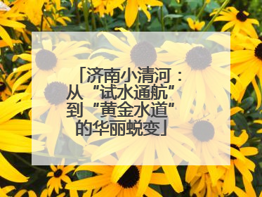 济南小清河：从“试水通航”到“黄金水道”的华丽蜕变