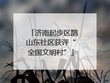 济南起步区鹊山东社区获评“全国文明村”