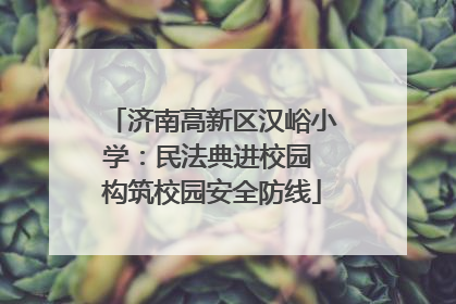 济南高新区汉峪小学：民法典进校园 构筑校园安全防线