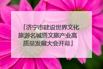 济宁市建设世界文化旅游名城暨文旅产业高质量发展大会开幕