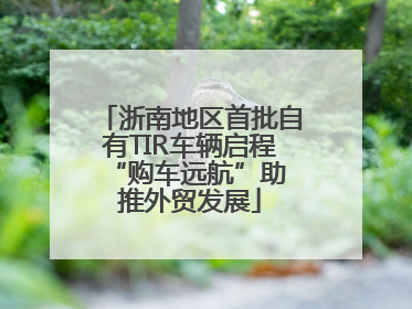 浙南地区首批自有TIR车辆启程 “购车远航”助推外贸发展