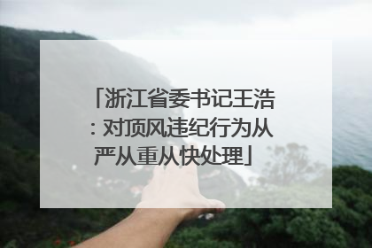 浙江省委书记王浩：对顶风违纪行为从严从重从快处理