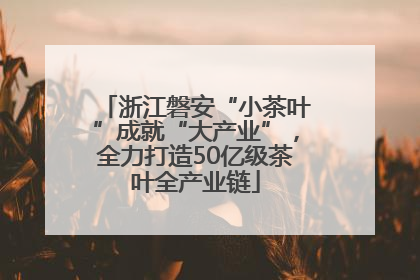 浙江磐安“小茶叶”成就“大产业”，全力打造50亿级茶叶全产业链