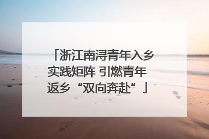 浙江南浔青年入乡实践矩阵 引燃青年返乡“双向奔赴”