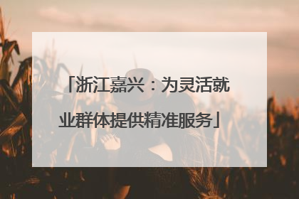 浙江嘉兴：为灵活就业群体提供精准服务