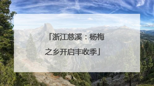浙江慈溪：杨梅之乡开启丰收季