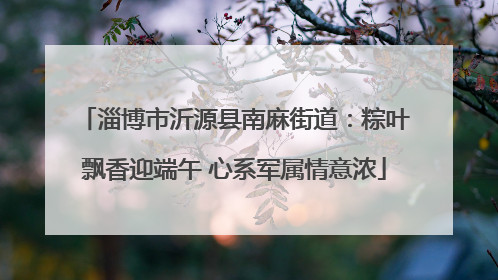淄博市沂源县南麻街道：粽叶飘香迎端午 心系军属情意浓