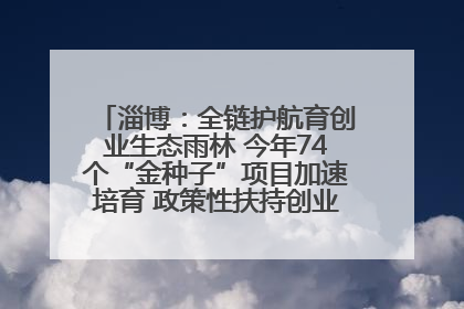 淄博：全链护航育创业生态雨林 今年74个“金种子”项目加速培育 政策性扶持创业9754人