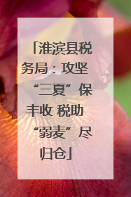 淮滨县税务局：攻坚“三夏”保丰收 税助“弱麦”尽归仓