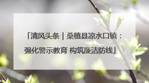 清风头条｜桑植县凉水口镇：强化警示教育 构筑廉洁防线