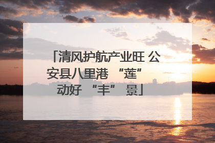 清风护航产业旺 公安县八里港 “莲” 动好 “丰” 景