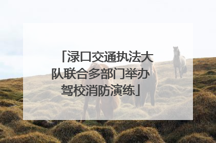 渌口交通执法大队联合多部门举办驾校消防演练