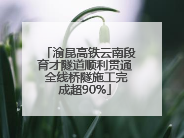 渝昆高铁云南段育才隧道顺利贯通 全线桥隧施工完成超90%