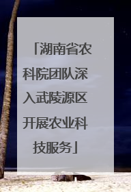 湖南省农科院团队深入武陵源区开展农业科技服务