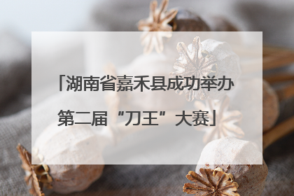 湖南省嘉禾县成功举办第二届“刀王”大赛