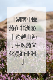 湖南中医药在非洲③｜跨越山海，中医药文化浸润非洲