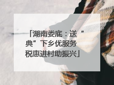 湖南娄底：送“典”下乡优服务 税惠进村助振兴