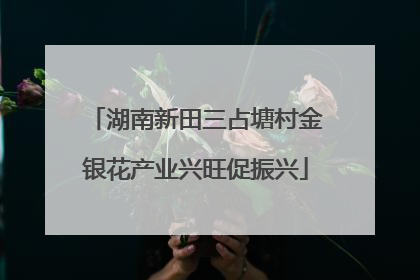 湖南新田三占塘村金银花产业兴旺促振兴