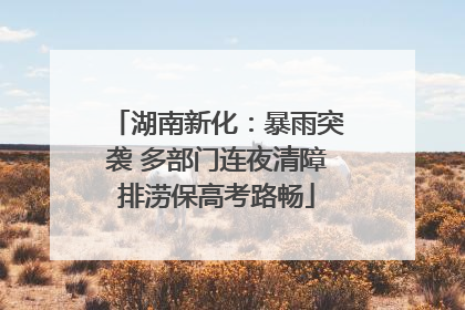 湖南新化：暴雨突袭 多部门连夜清障排涝保高考路畅
