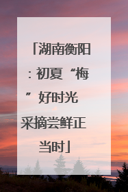 湖南衡阳：初夏“梅”好时光 采摘尝鲜正当时