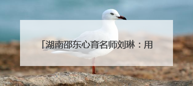 湖南邵东心育名师刘琳：用30年时光编织心灵彩虹