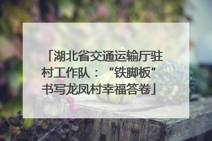 湖北省交通运输厅驻村工作队：“铁脚板”书写龙凤村幸福答卷