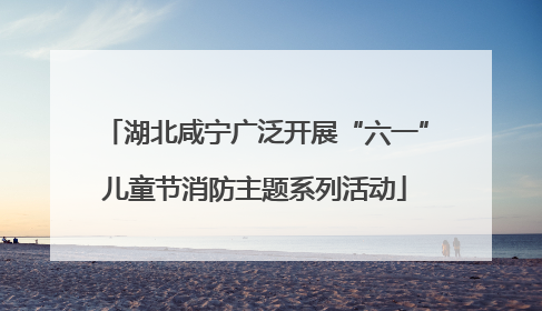 湖北咸宁广泛开展“六一”儿童节消防主题系列活动