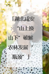 湖北咸安：“山上换山下”破解农林发展“瓶颈”