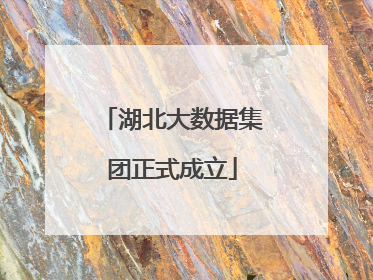 湖北大数据集团正式成立