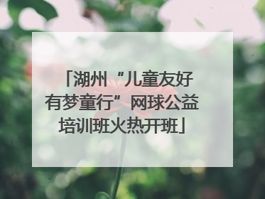 湖州“儿童友好 有梦童行”网球公益培训班火热开班