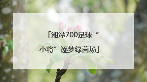 湘潭700足球“小将”逐梦绿茵场