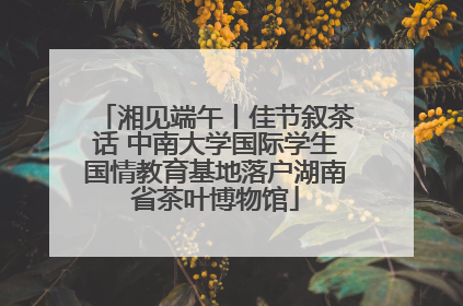 湘见端午丨佳节叙茶话 中南大学国际学生国情教育基地落户湖南省茶叶博物馆