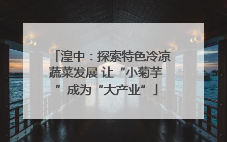 湟中：探索特色冷凉蔬菜发展 让“小菊芋”成为“大产业”