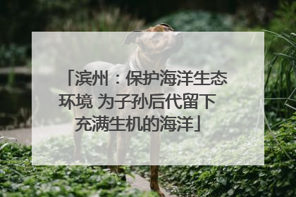 滨州：保护海洋生态环境 为子孙后代留下充满生机的海洋